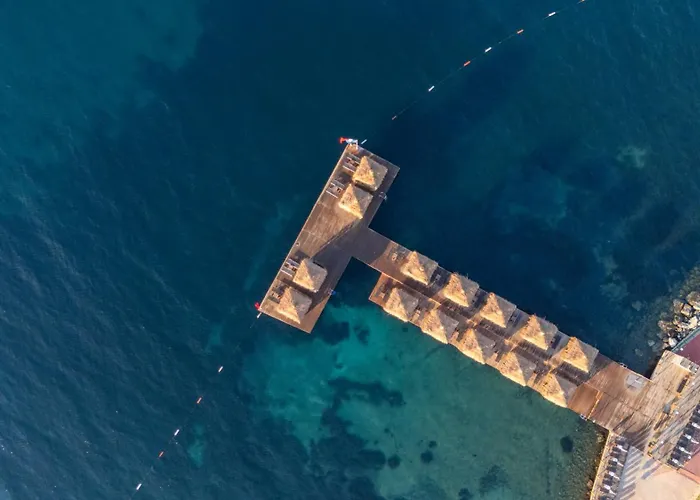 酒店 博德鲁姆雅斯名度假酒店 5*